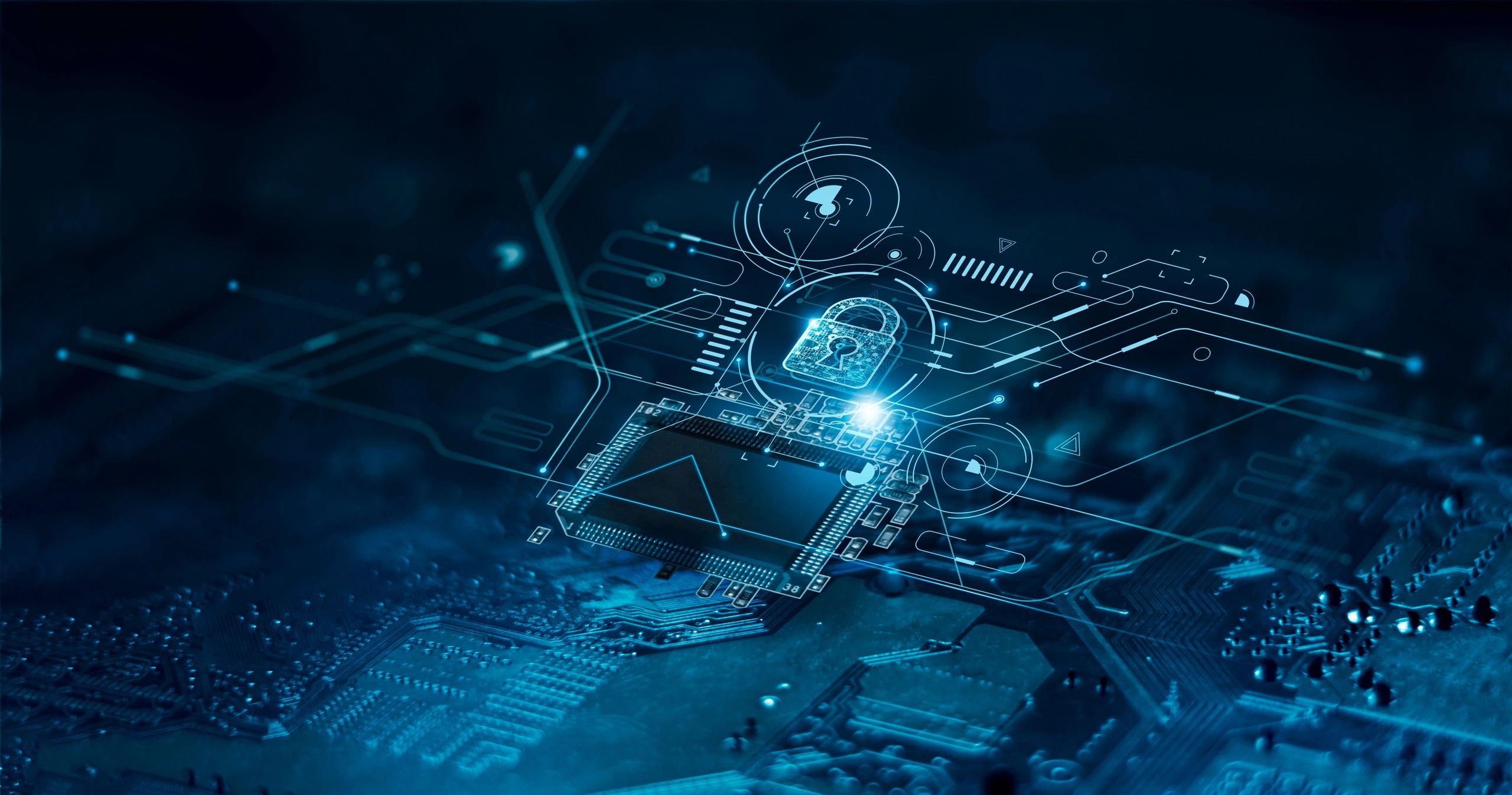 network protection digital